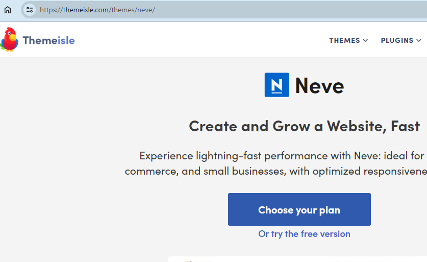 صورة شاشة من الموقع الرسمي لقالب Neve