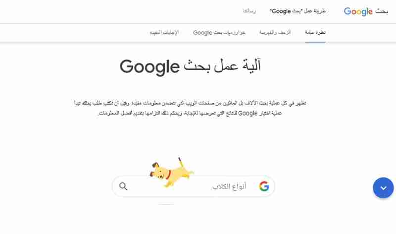 ما هو السيو