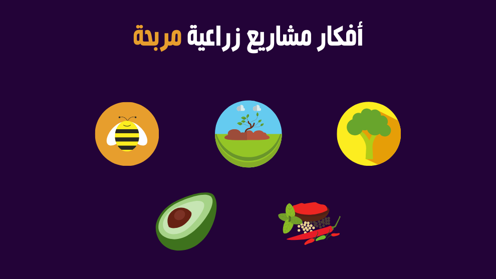 صورة توضيحية تحتوي على رموز لمشاريع زراعية متنوعة مع عنوان: أفكار مشاريع زراعية مربحة.