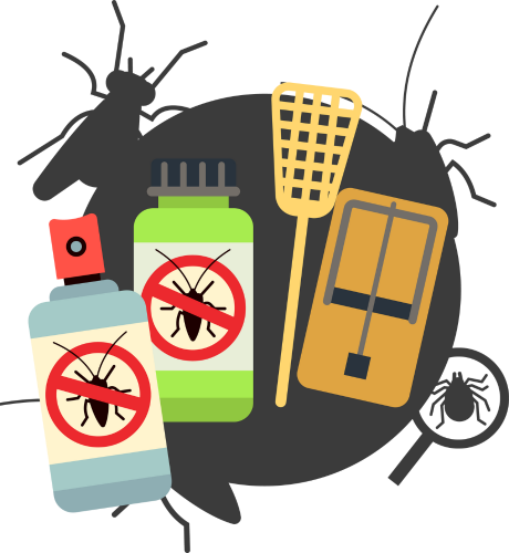 تقديم خدمة التخلص من آفات وحشرات المنزل