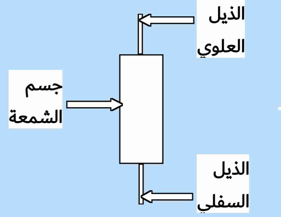 مكونات الشمعة اليابانية